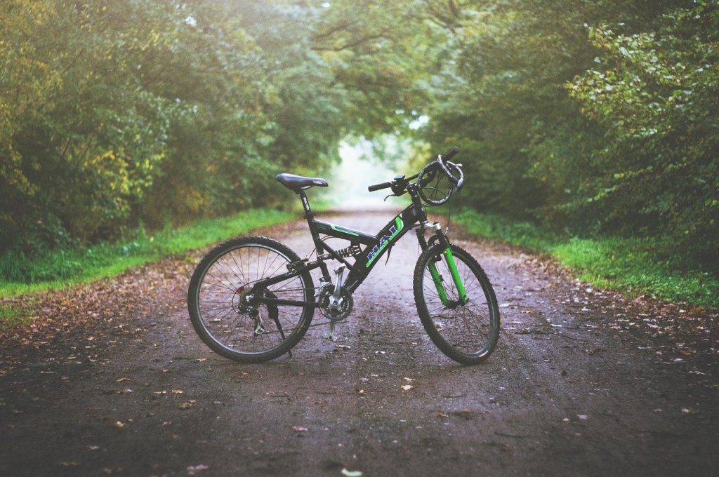 Groep mountainbikers op avontuurlijke route in de Ardennen met diverse trails en prachtige landschappen